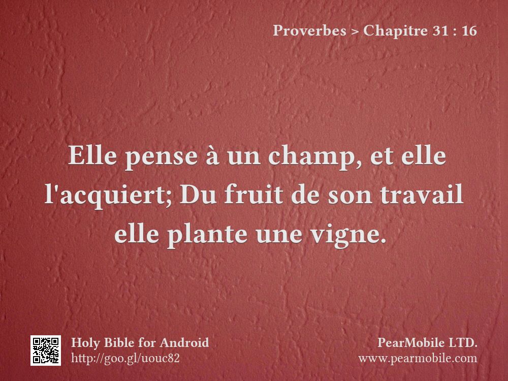 Proverbes, Chapitre 31:16